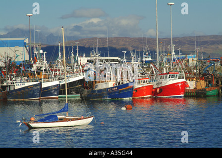 Regno Unito Scozia Inverness Shire la costa ovest del porto di pesca di Mallaig Foto Stock