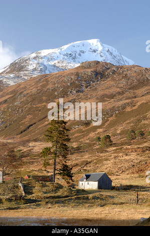 Mam Sodhail coperta di neve Mountain torreggia sopra Glen Affric, Inverness-shire. XPL 4505-426 Foto Stock