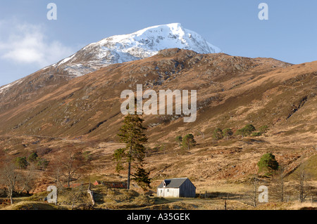 Coperta di neve Mam Sodhail alta sopra Glen Affric, Inverness-shire. XPL 4510-426 Foto Stock