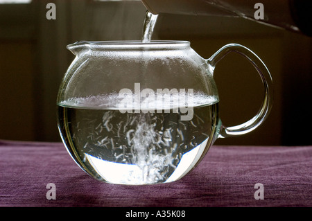 "Acqua Calda" essendo versata in vetro chiaro "Tè Pot' Foto Stock