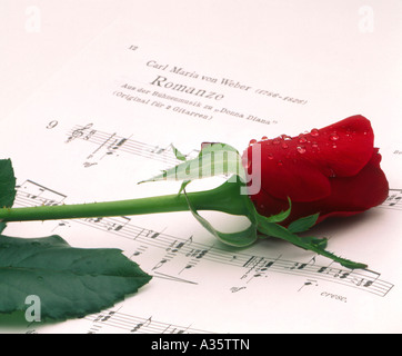 Rote Rose auf einem Notenblatt, red rose sul foglio di musica Foto Stock