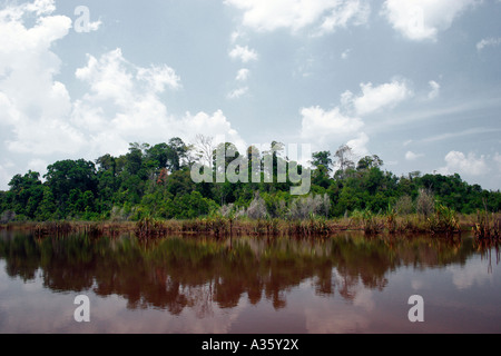 Bera Tasek lago d'acqua dolce in Malesia peninsulare Foto Stock