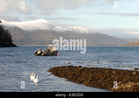 Kentallen Bay Loch Linnhe Lochaber. Regione delle Highlands, Scozia. XPL 4578-431 Foto Stock