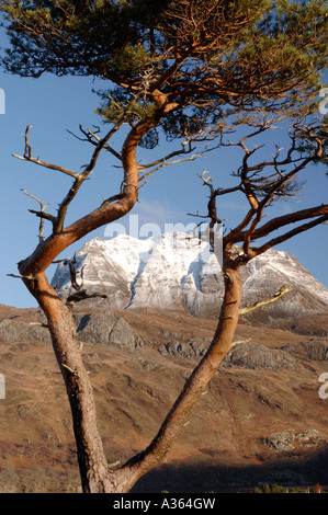 Slioch Mountain torreggia sopra Loch Maree a Kinlochewe, Wester Ross nelle Highlands scozzesi XPL 4468-422 Foto Stock