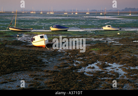 Filamento barche da pesca, Chichester Harbour, Peschici, Hampshire, Inghilterra, Regno Unito Foto Stock