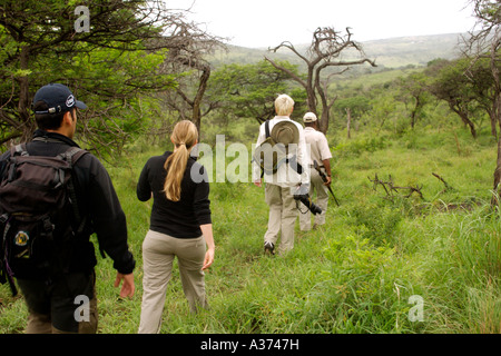 Elliot Qwabe, una boccola di guida dal 1976, portando i turisti in un gioco a piedi nel Umfolozi-Hluhluwe National Park in Sud Africa. Foto Stock