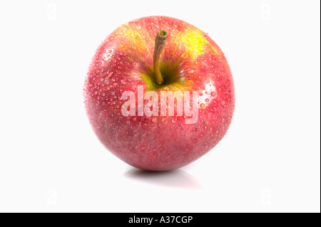 Red apple coperto di goccioline di acqua isolata contro uno sfondo bianco. Una leggera ombra dettagli per il realismo. Foto Stock