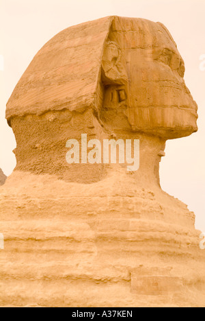 Giza la Grande Sfinge somiglianza di re Khafre volto ritratto altopiano vista laterale Il Cairo Egitto Nord Africa Foto Stock