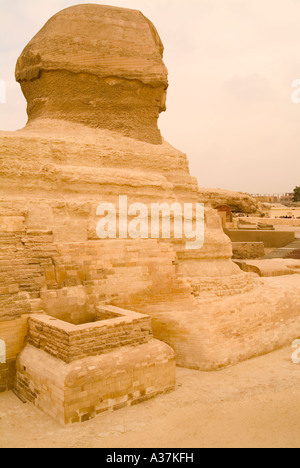 Giza la Grande Sfinge somiglianza di re altopiano Khafre vista dal lato posteriore del Cairo Egitto Nord Africa Foto Stock