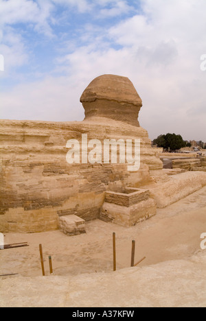 Giza la Grande Sfinge somiglianza di re altopiano Khafre vista dal lato posteriore del Cairo Egitto Nord Africa Foto Stock