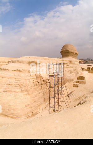 Giza la Grande Sfinge somiglianza di re altopiano Khafre vista dal lato posteriore del Cairo Egitto Nord Africa Foto Stock