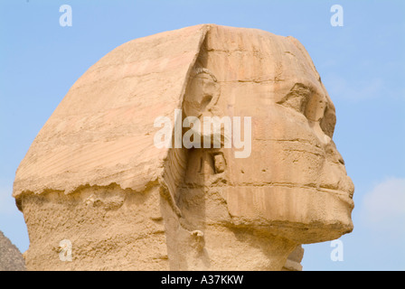 Giza la Grande Sfinge somiglianza di re Khafre volto ritratto altopiano vista laterale Il Cairo Egitto Nord Africa Foto Stock