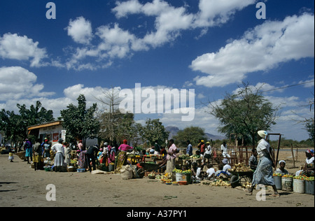 Produrre in vendita nel mercato a lato della strada a prendere il via in stallo Zimbabwe Africa Foto Stock