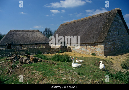 Oche fuori sala Tithe Barn e custode di maiale cottage Cosmeston Borgo Medievale Wales UK Foto Stock