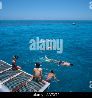 Fare snorkeling la poppa di una barca per gite sulla Grande Barriera Corallina, Cairns, Queensland, Australia Foto Stock