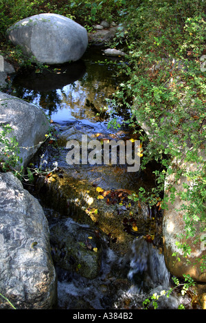 Mormorio del ruscello Foto Stock