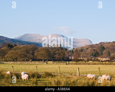 Paese di scena con parte della Nantlle Ridge Mountains al di là nel Parco Nazionale di Snowdonia da Beddgelert Gwynedd North Wales UK Foto Stock