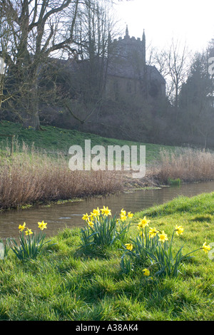 Primavera accanto al fiume occhio nel villaggio Costwold di Upper Slaughter, Gloucestershire Foto Stock