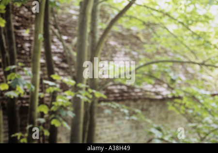 Impressionistica platano o Acer pseudoplatanus alberi in estate nella parte anteriore di un muschio ricoperti di piastrelle in pietra e fienile Foto Stock