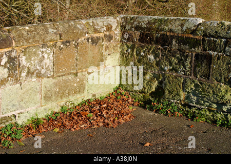 Dettaglio della muratura in pietra del ponte Stopham, Pulborough, Sussex, Regno Unito Foto Stock