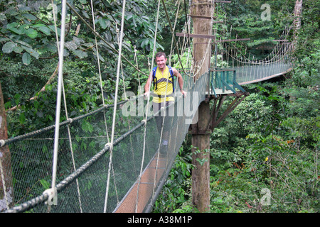 Tettoia Mulu Skywalk nel Parco Nazionale di Gunung Mulu, Sarawak, Borneo, Malaysia Foto Stock