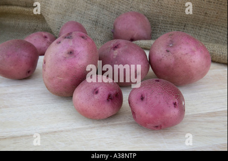 Appena raccolto di patate rosse sul bordo di taglio. Foto Stock