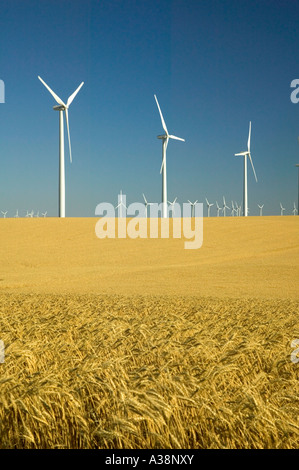 Fattoria eolica, turbine in coppia campo di grano, Oregon Foto Stock
