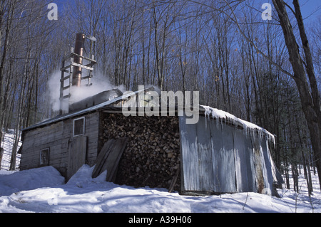 Cabina in legno Foto Stock