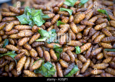 Larve cotte di seta in vendita al mercato Chatuchak Bangkok Thailandia Foto Stock