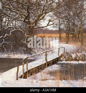 Scena di neve a Hickling Riserva Naturale Norfolk Broads REGNO UNITO Foto Stock
