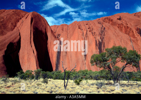 Ayers Rock poco dopo l'alba come visto lungo la base a piedi intorno a Uluru con scrub in primo piano Foto Stock