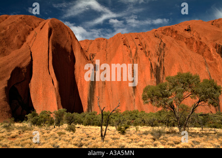 Ayers Rock poco dopo l'alba come visto lungo la base a piedi intorno a Uluru con scrub in primo piano Foto Stock