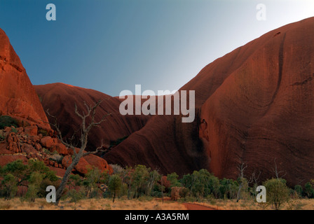 Ayers Rock poco dopo l'alba come visto lungo la base a piedi intorno a Uluru Foto Stock