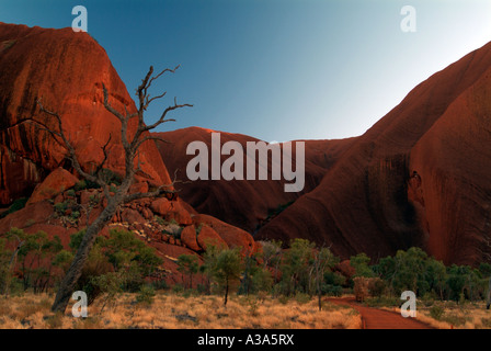 Ayers Rock poco dopo l'alba come visto lungo la base a piedi intorno a Uluru Foto Stock