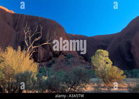 Ayers Rock poco dopo l'alba come si vede dalla base lungo la Passeggiata di Uluru Foto Stock