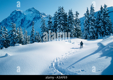 Mt Shuksan, WA, Stati Uniti d'America, sci di fondo, sci, sciatore, inverno, North Cascades, Mt Baker Area, nello Stato di Washington, North Cascades Foto Stock