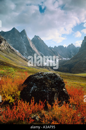 Porte del Arctic National Park, Alaska, STATI UNITI D'AMERICA, Brooks Range, deserto, Arrigetch picchi e Fire Rock in autunno, Nano betulla Foto Stock