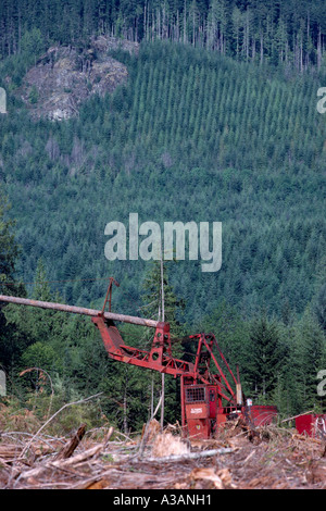 Registrazione attiva e rimboschimento sull'Isola di Vancouver, BC, British Columbia, Canada Foto Stock