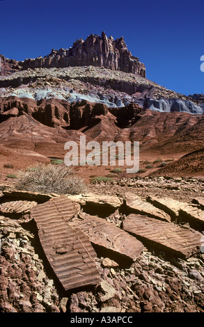 Fossili di dune di sabbia Capitol Reef National Park nello Utah Foto Stock
