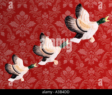 Tre Flying Duck ornamenti sulla parete Foto Stock