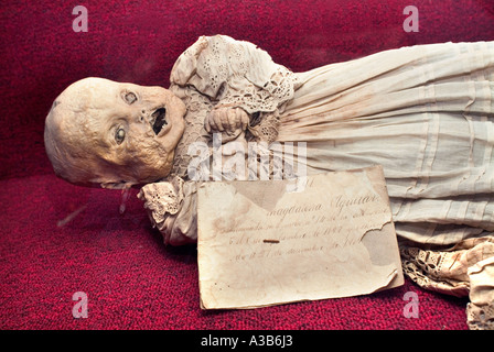 Museo della mummia conosciuta come El Museo de las Momias Guanajuato Messico Foto Stock