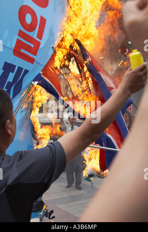 La masterizzazione Nord Bandiera coreana a protestare, Seoul Foto Stock