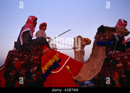 KUWAIT Medio Oriente Golfo beduino di stato uomo e ragazzo cavalcare i cammelli nel deserto con Colorati luminosamente sottosella e sistema di cavi Foto Stock