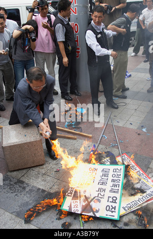 Supporti alla Corea del Nord di Rally, Seoul Foto Stock