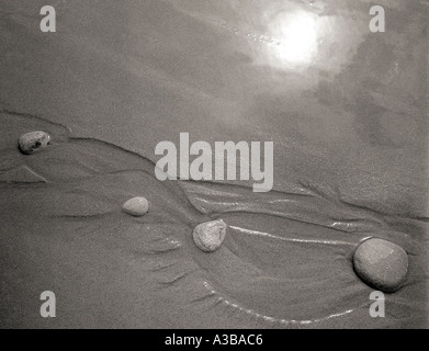 Natura bianco e nero Foto Stock