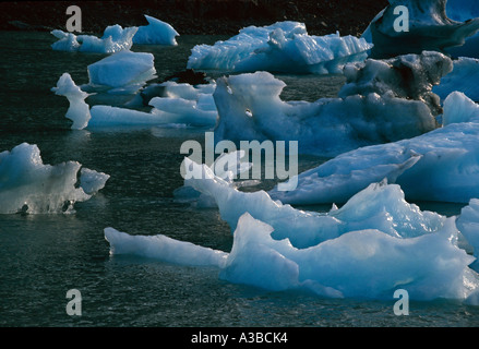 Iceberg galleggianti in Portage Lake SC AK Estate Foto Stock