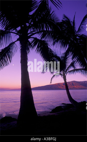 Palme di cocco e Spiaggia di alba con montagne di West Maui distanza Kihei Maui Hawaii Foto Stock