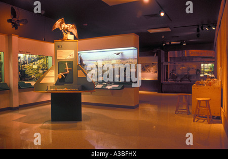 Museo di Storia Naturale e Culturale presso la University of Oregon Eugene, Oregon Foto Stock