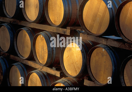 Oak botti da vino presso la cantina Lange Dundee Willamette Valley Oregon Foto Stock