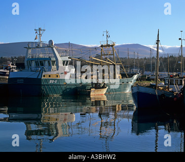 PORTH PENRHYN GWYNEDD GALLES DEL NORD Gennaio alcune delle barche da pesca ormeggiate nel porto Foto Stock